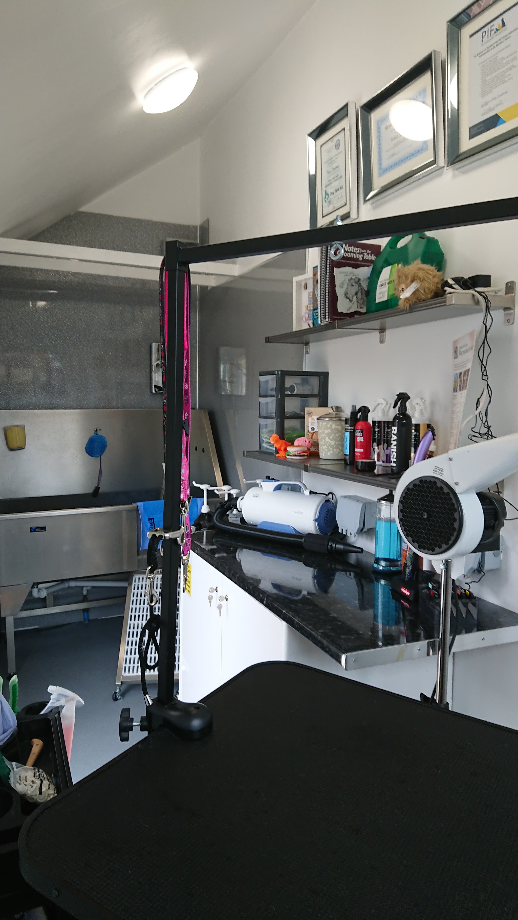 Inside the salon: the grooming table, dryer, product shelves and framed certificates on the wall